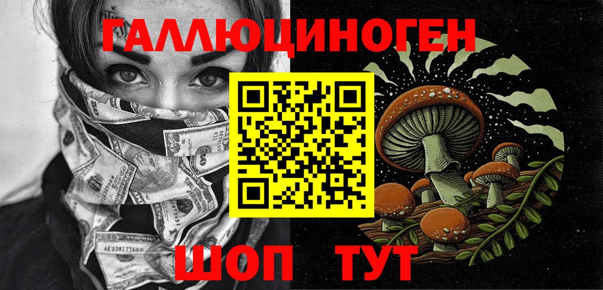 Галлюциногенные грибы Psilocybe Вязьма